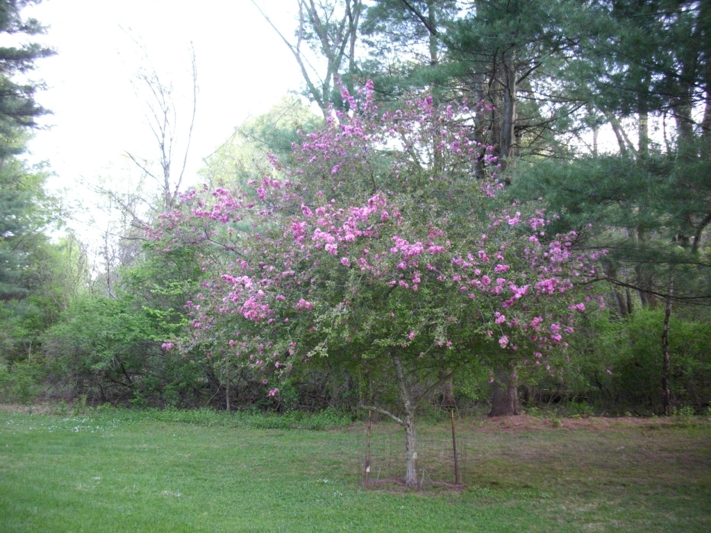 35 Patterson Road Lenox, MA 01242 - Photo 18 of 19 Grounds