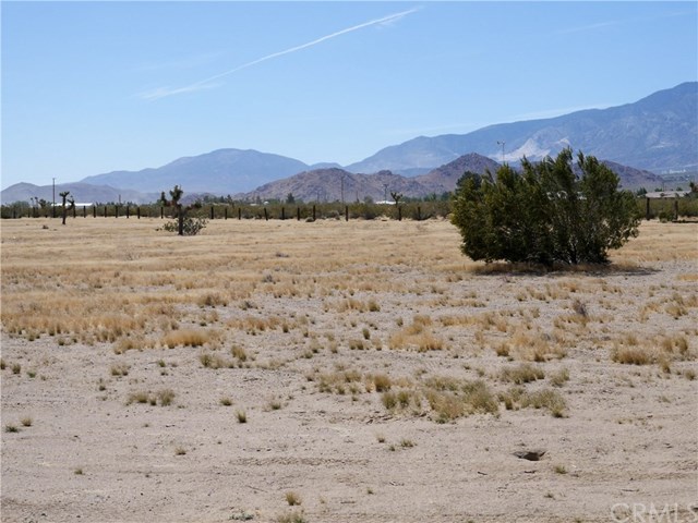 0 Bullrush Road Lucerne Valley, CA 92356 - Photo 11 of 34