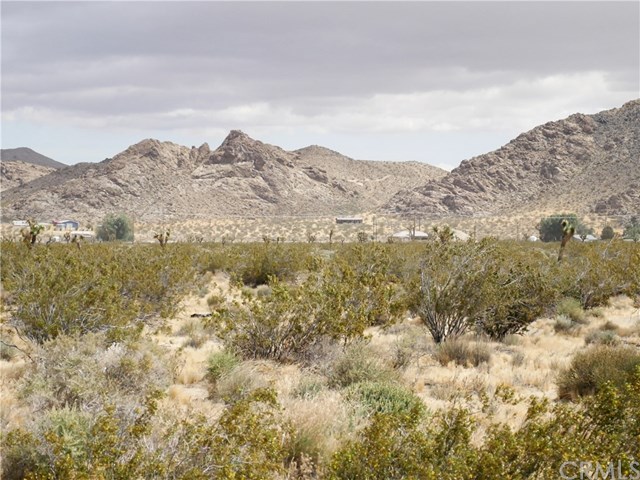 0 Bullrush Road Lucerne Valley, CA 92356 - Photo 16 of 34