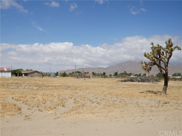 0 Bullrush Road Lucerne Valley, CA 92356 - Photo 19 of 34