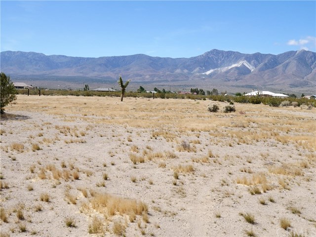0 Bullrush Road Lucerne Valley, CA 92356 - Photo 4 of 34