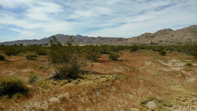 0 Bullrush Road Lucerne Valley, CA 92356 - Photo 5 of 34