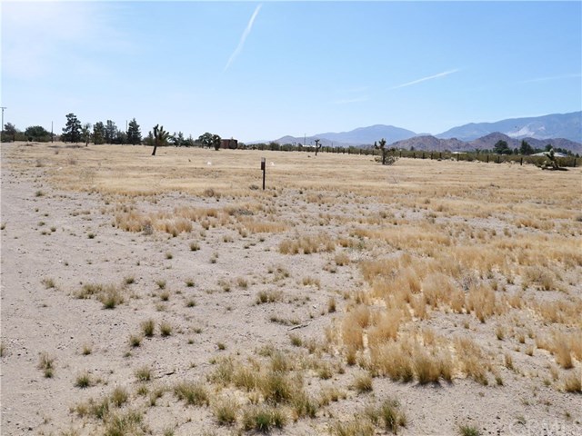 0 Bullrush Road Lucerne Valley, CA 92356 - Photo 8 of 34