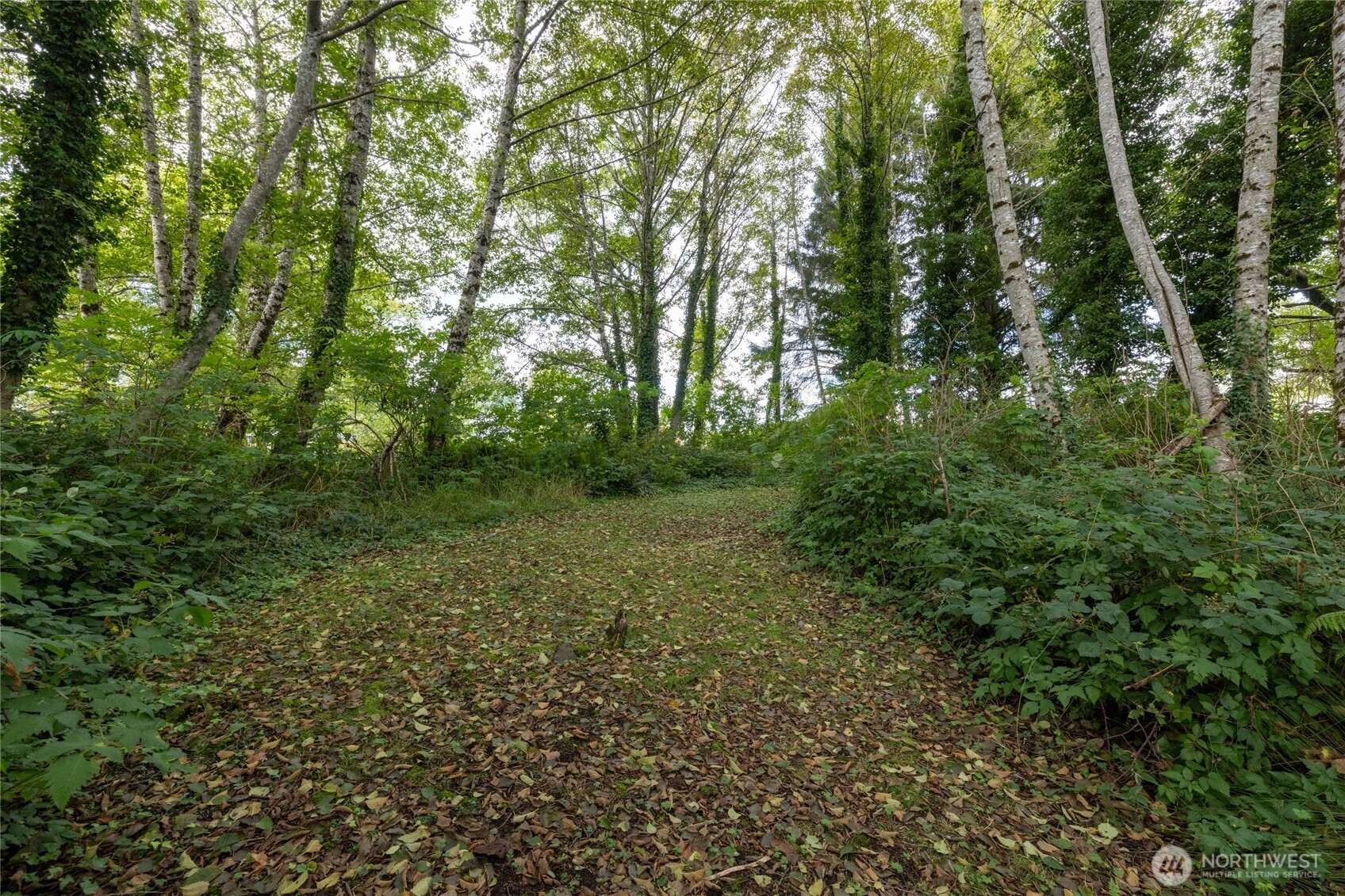 1901 Cranberry Road Grayland, WA 98547 - Photo 14 of 37 Gallery Image 14