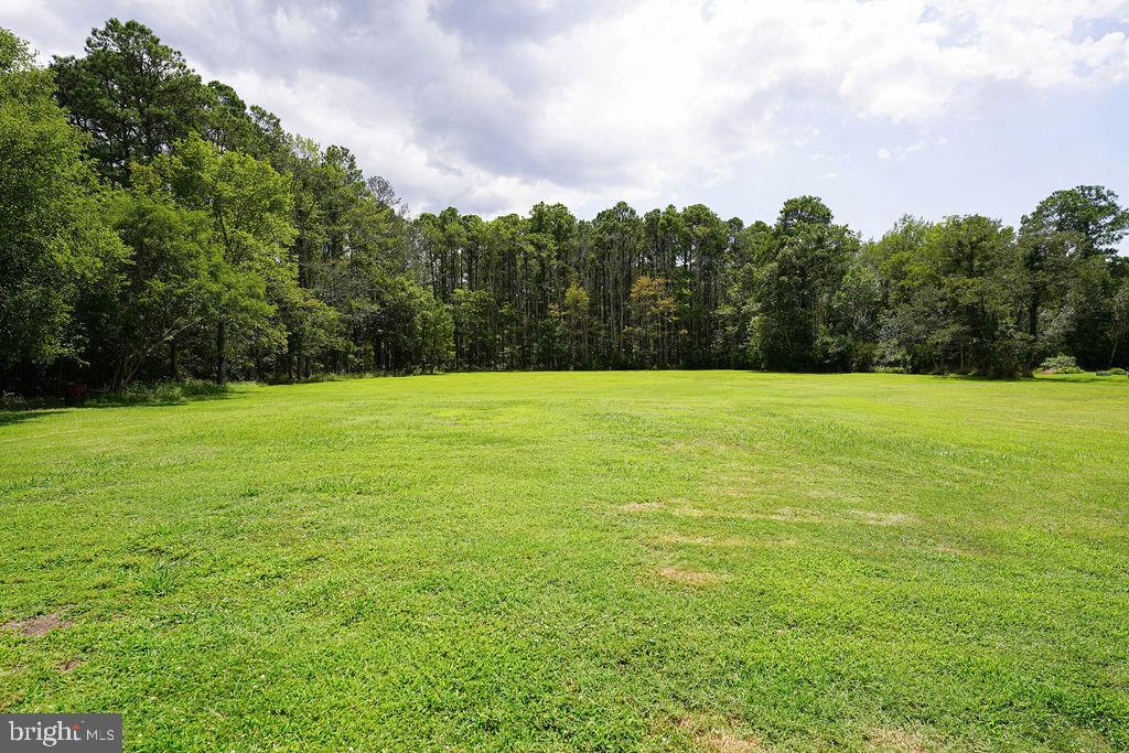 27147 Oriole Road Princess Anne, MD 21853 - Photo 56 of 58 Gallery Image 56