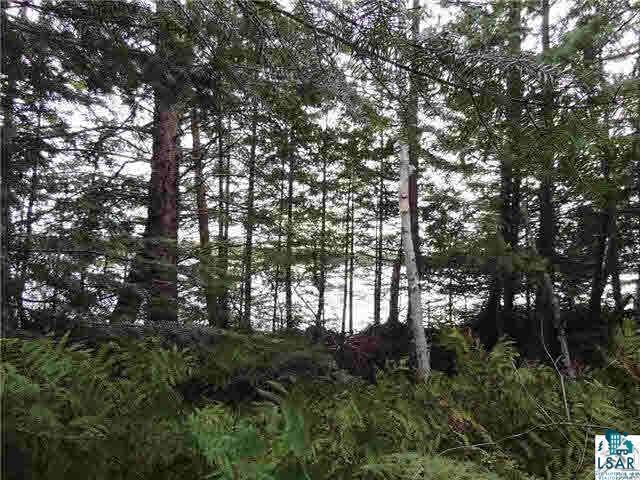 1004 Devil Track Road Grand Marais, MN 55604 - Photo 11 of 17 Gallery Image 11