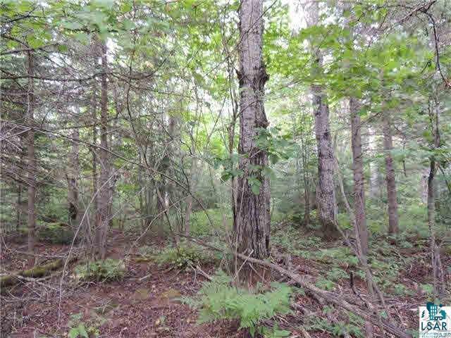 1004 Devil Track Road Grand Marais, MN 55604 - Photo 12 of 17 Gallery Image 12