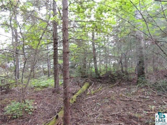 1004 Devil Track Road Grand Marais, MN 55604 - Photo 13 of 17 Gallery Image 13