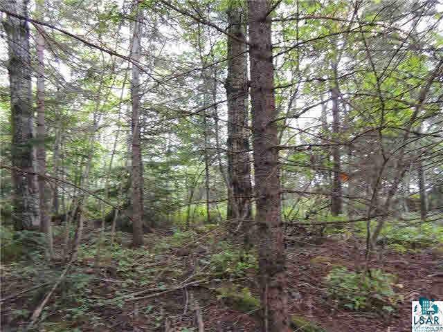 1004 Devil Track Road Grand Marais, MN 55604 - Photo 14 of 17 Gallery Image 14