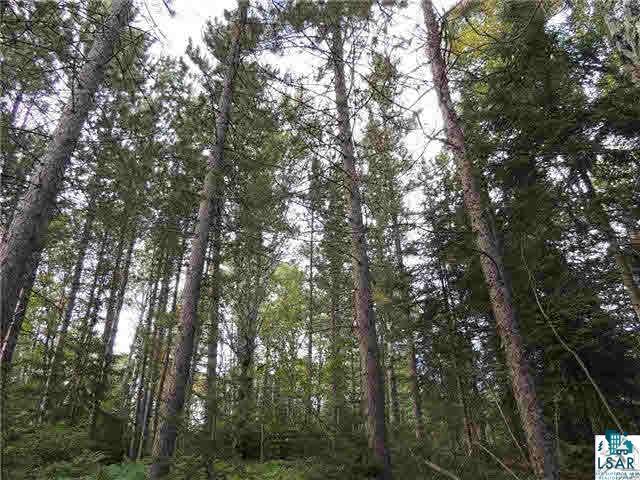 1004 Devil Track Road Grand Marais, MN 55604 - Photo 15 of 17 Gallery Image 15