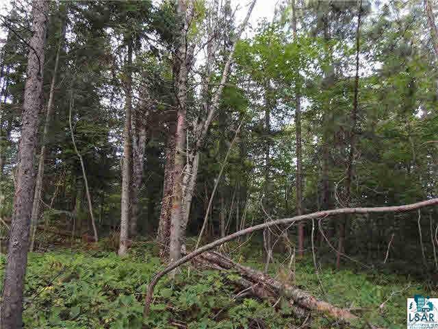 1004 Devil Track Road Grand Marais, MN 55604 - Photo 16 of 17 Gallery Image 16