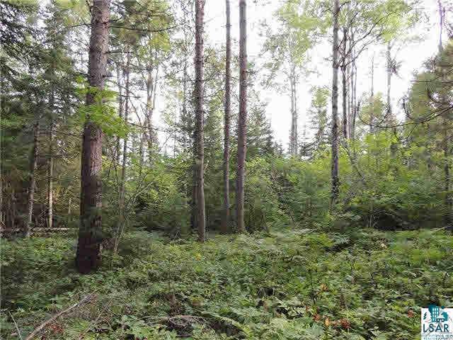 1004 Devil Track Road Grand Marais, MN 55604 - Photo 17 of 17 Gallery Image 17