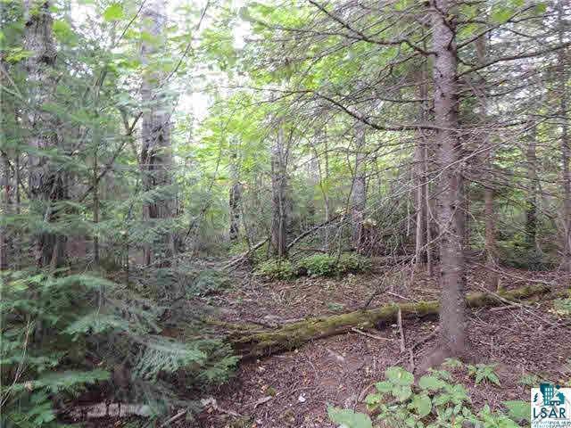 1004 Devil Track Road Grand Marais, MN 55604 - Photo 2 of 17 Gallery Image 2