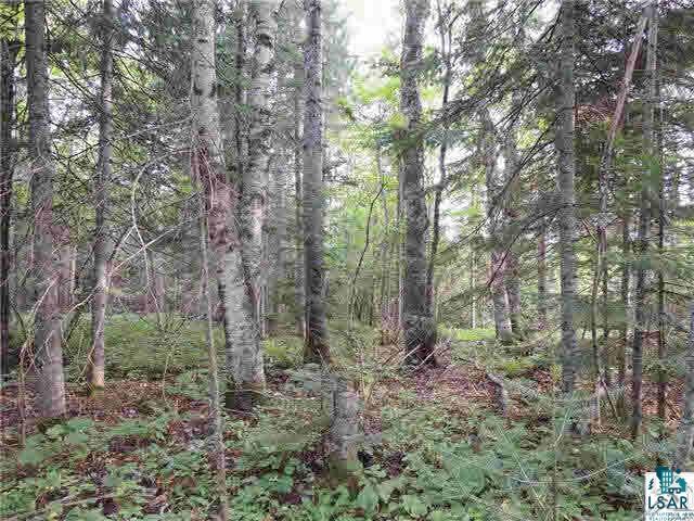 1004 Devil Track Road Grand Marais, MN 55604 - Photo 3 of 17 Gallery Image 3