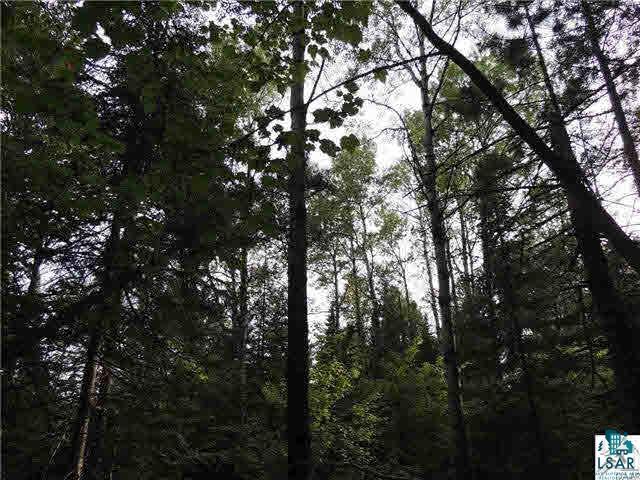 1004 Devil Track Road Grand Marais, MN 55604 - Photo 4 of 17 Gallery Image 4
