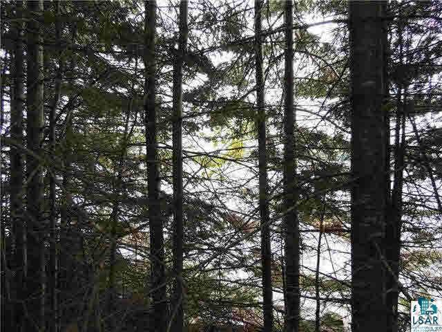 1004 Devil Track Road Grand Marais, MN 55604 - Photo 8 of 17 Gallery Image 8