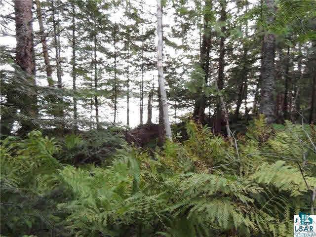 1004 Devil Track Road Grand Marais, MN 55604 - Photo 10 of 17 Gallery Image 10