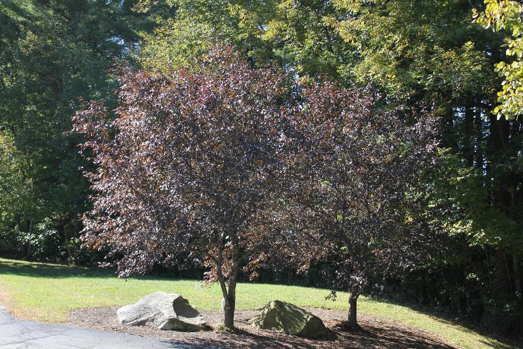 94 Lewiston Road, Unit 6 Gray, ME 04039 - Photo 12 of 18 Photo