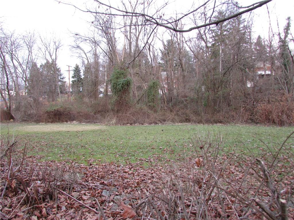 3600 West Run Road Munhall, PA 15120 - Photo 18 of 24 Level Yard.