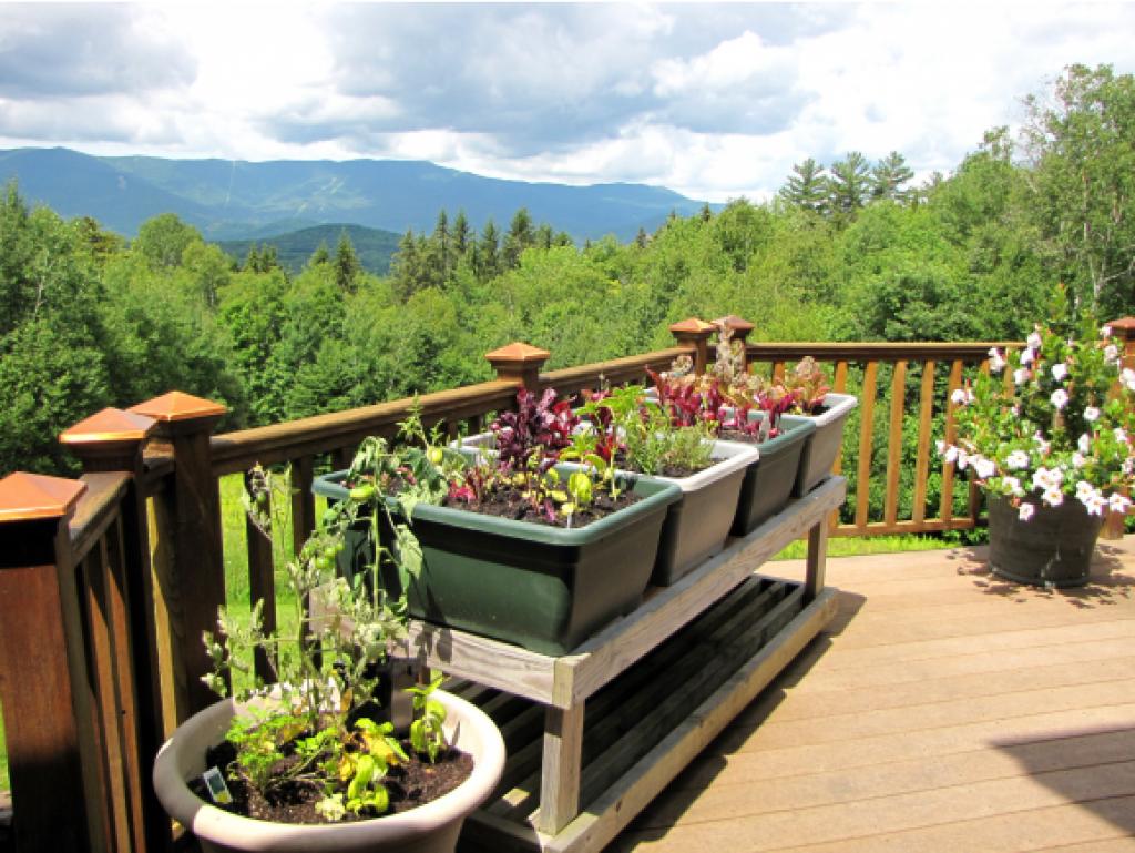 1071 Roxbury Mountain Road Warren, VT 05674 - Photo 22 of 29