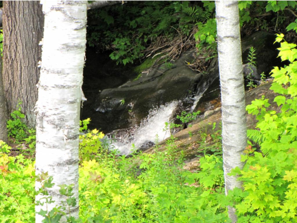 1071 Roxbury Mountain Road Warren, VT 05674 - Photo 24 of 29