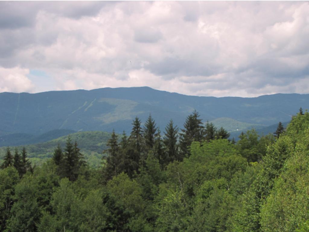1071 Roxbury Mountain Road Warren, VT 05674 - Photo 27 of 29