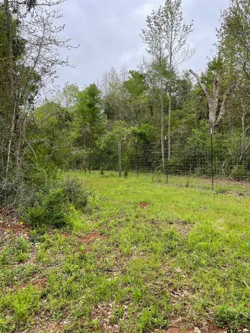 a view of outdoor space with deck and yard