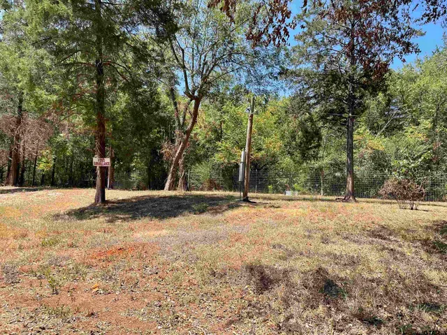 a view of a yard with trees