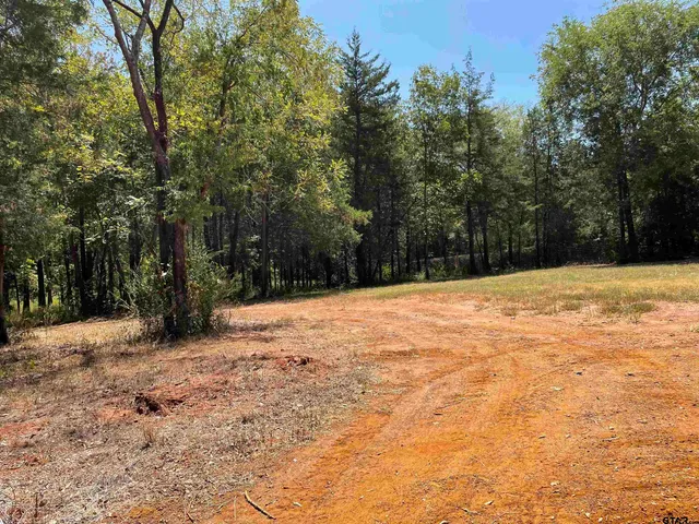 a view of empty space with trees