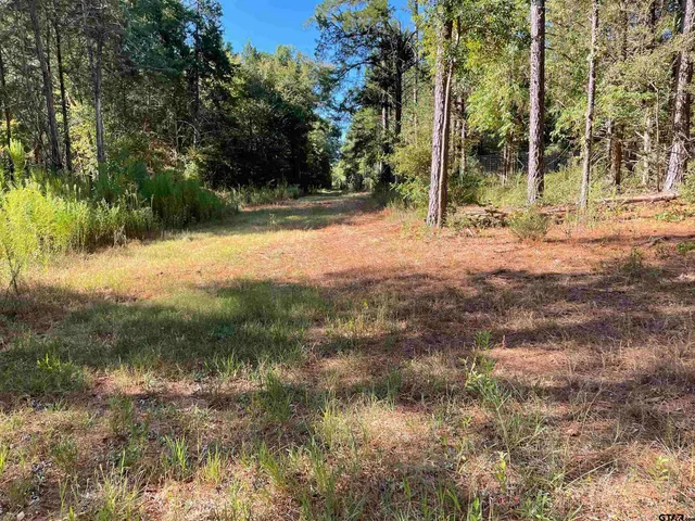 a view of outdoor space with trees