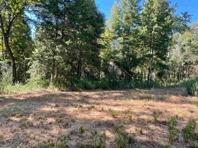 a view of backyard with green space