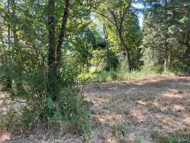 a view of outdoor space and trees