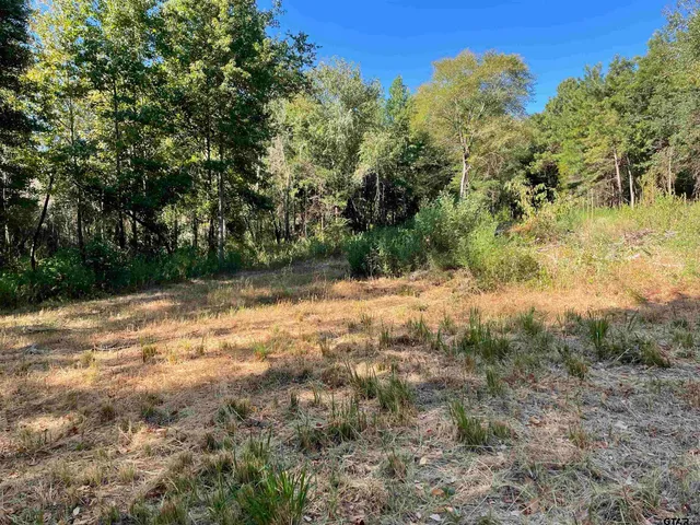 a view of backyard with green space