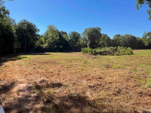 a view of outdoor space with trees