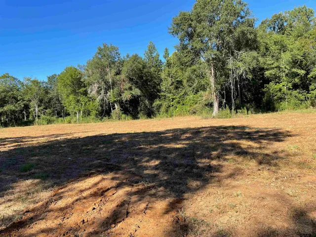 a view of dirt yard with a large tree