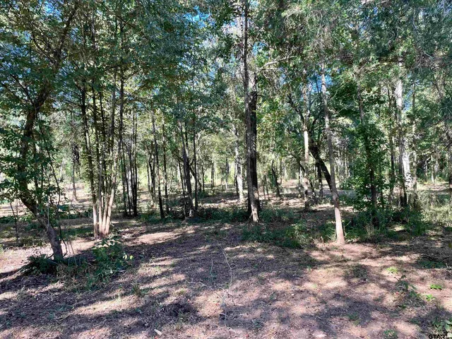 a view of a park with large trees