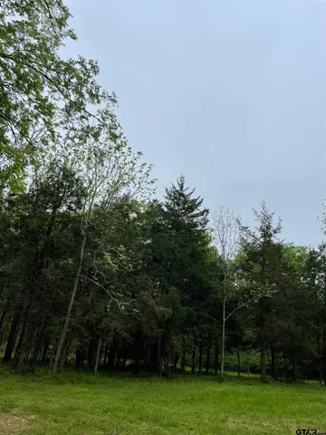 a view of a field with a tree in the background