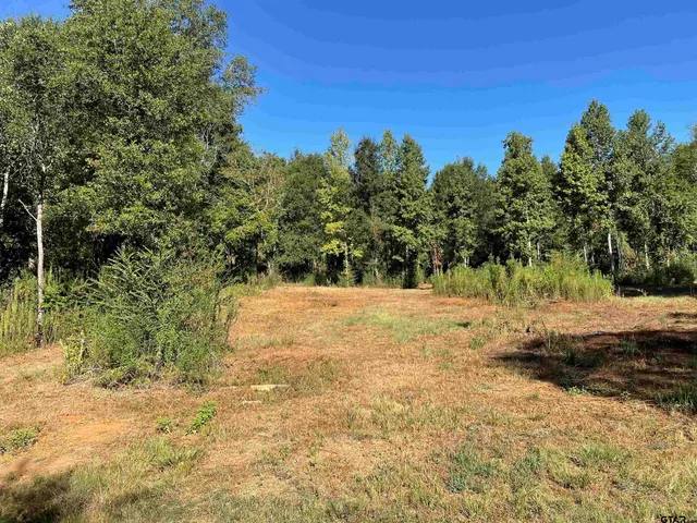 a view of a yard with trees