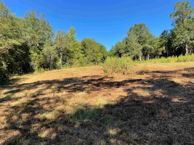 a view of ocean view with trees