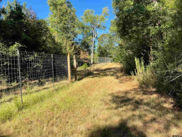 a view of yard with tree