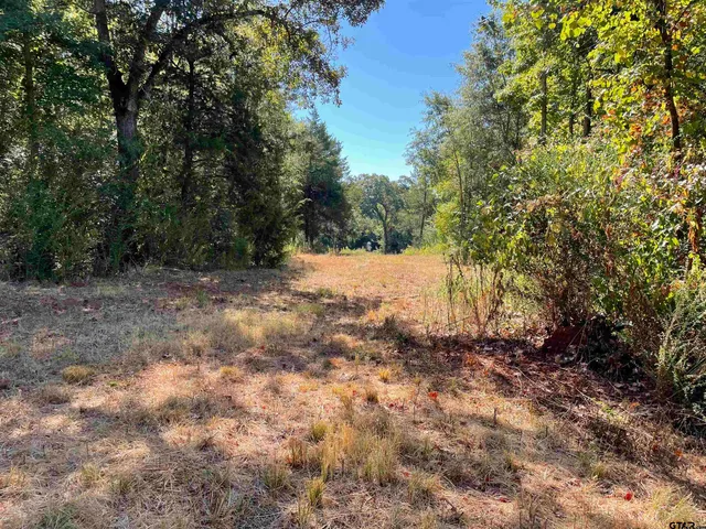 a view of dirt field with trees in the background