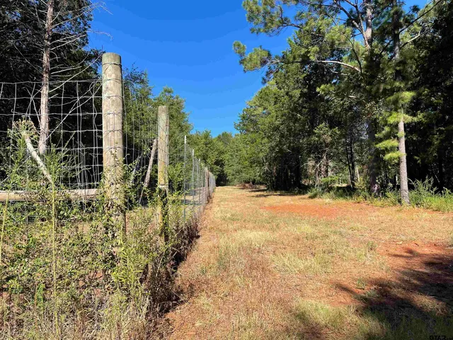 a view of outdoor space and tree