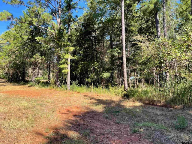 a view of outdoor space with trees