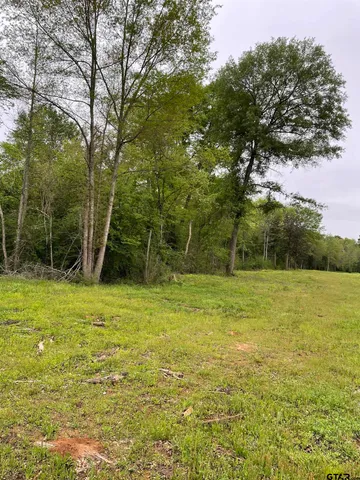 a view of a yard with an trees