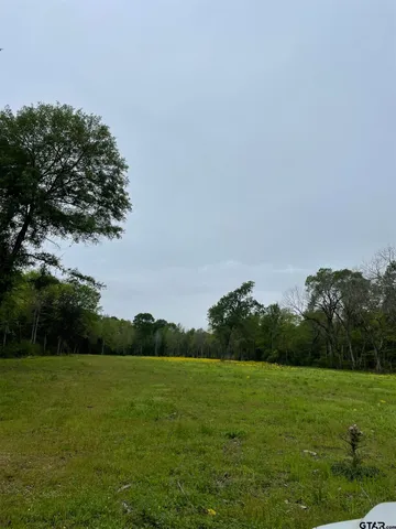 a view of an outdoor space and a yard