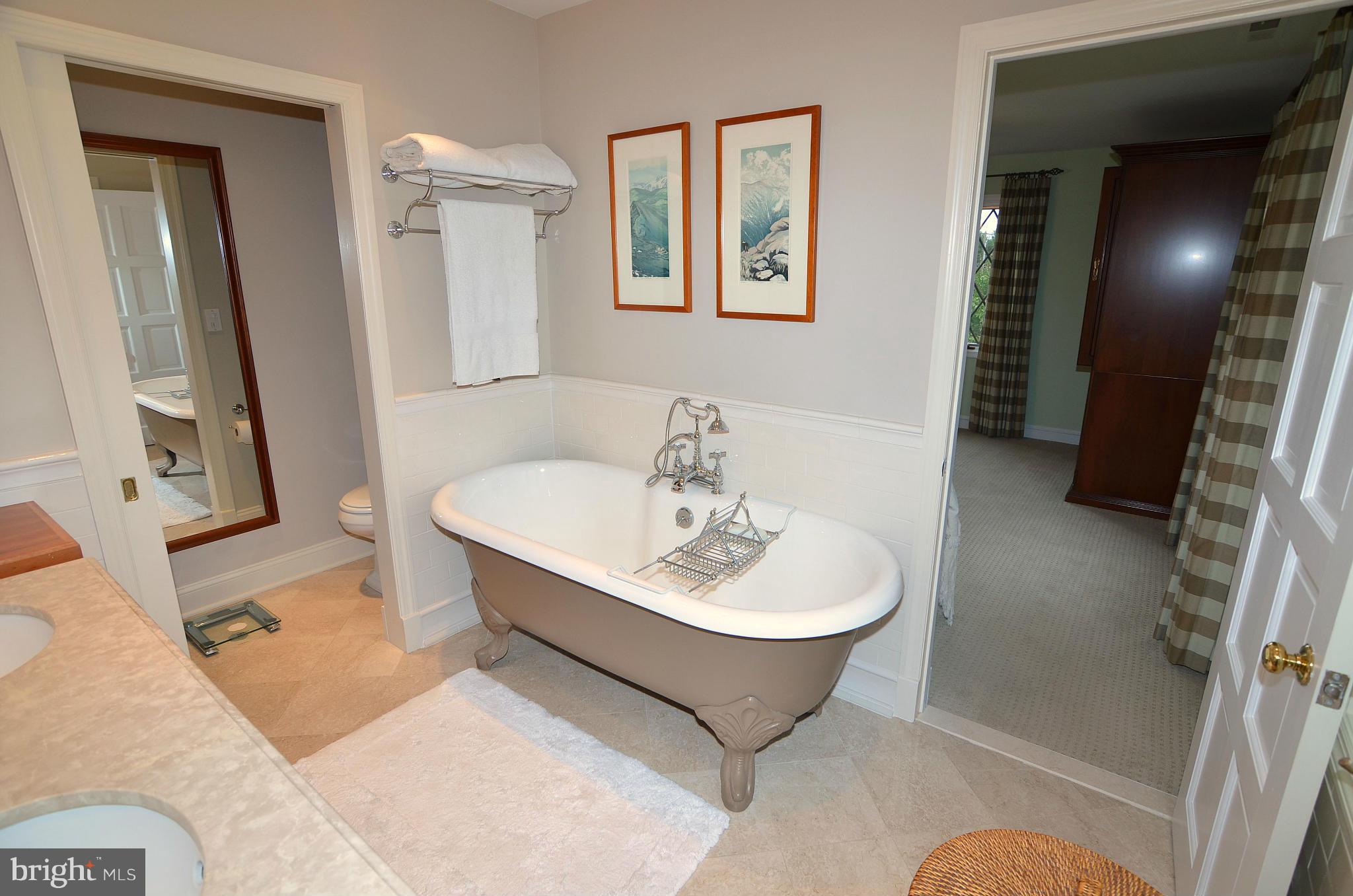 1005 Double Gate Road Davidsonville, MD 21035 - Photo 19 of 30 Bath (Master)