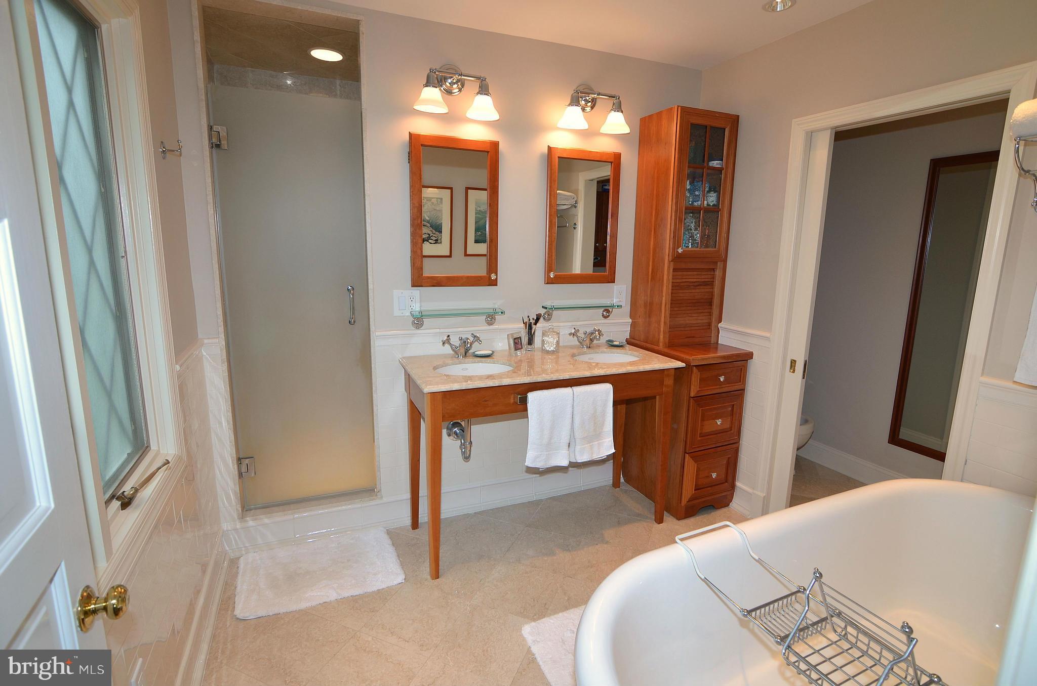 1005 Double Gate Road Davidsonville, MD 21035 - Photo 20 of 30 Bath (Master)