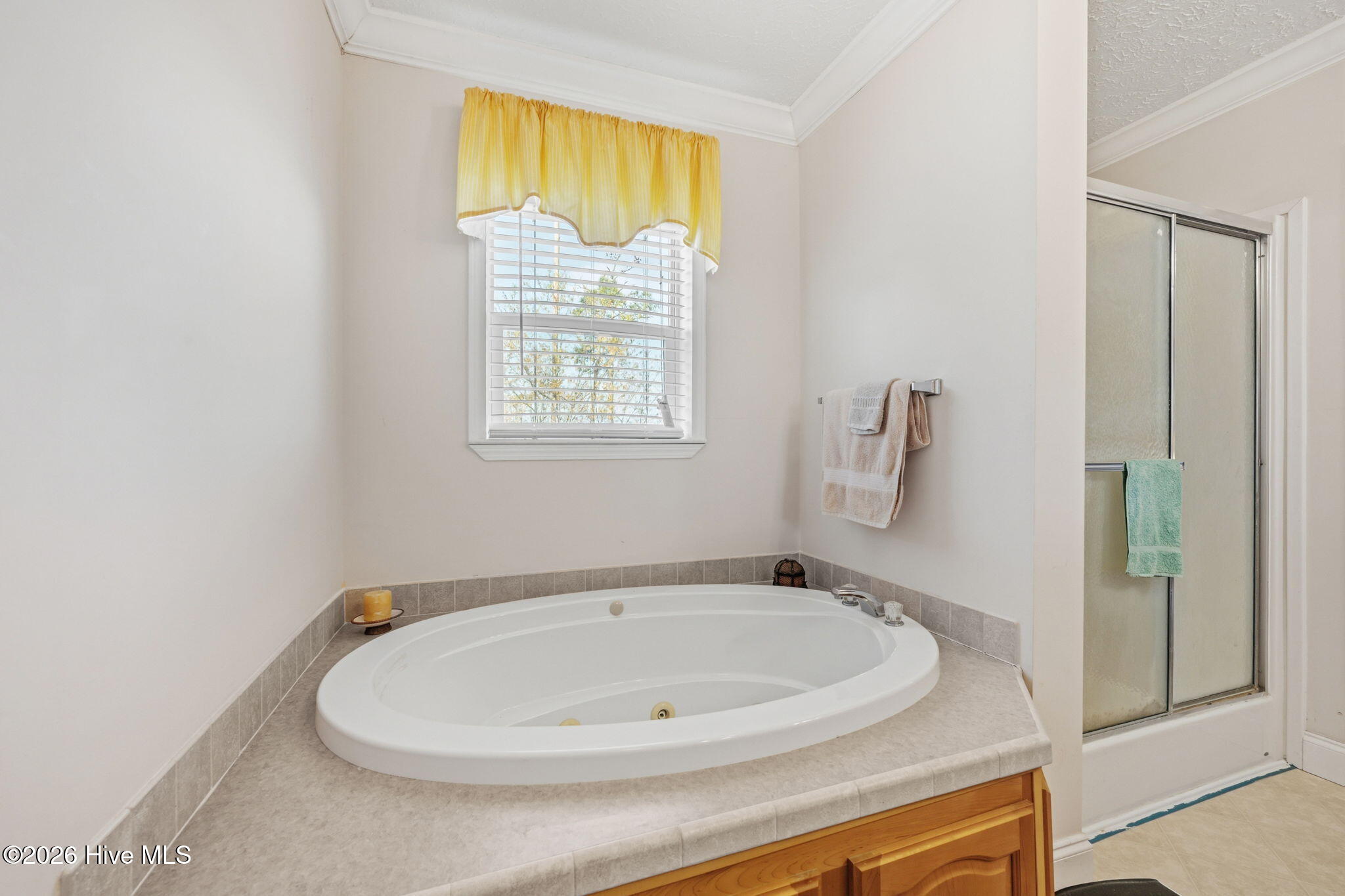 7569 Florence Road Merritt, NC 28556 - Photo 34 of 70 32-web-or-mls-DSC_7687