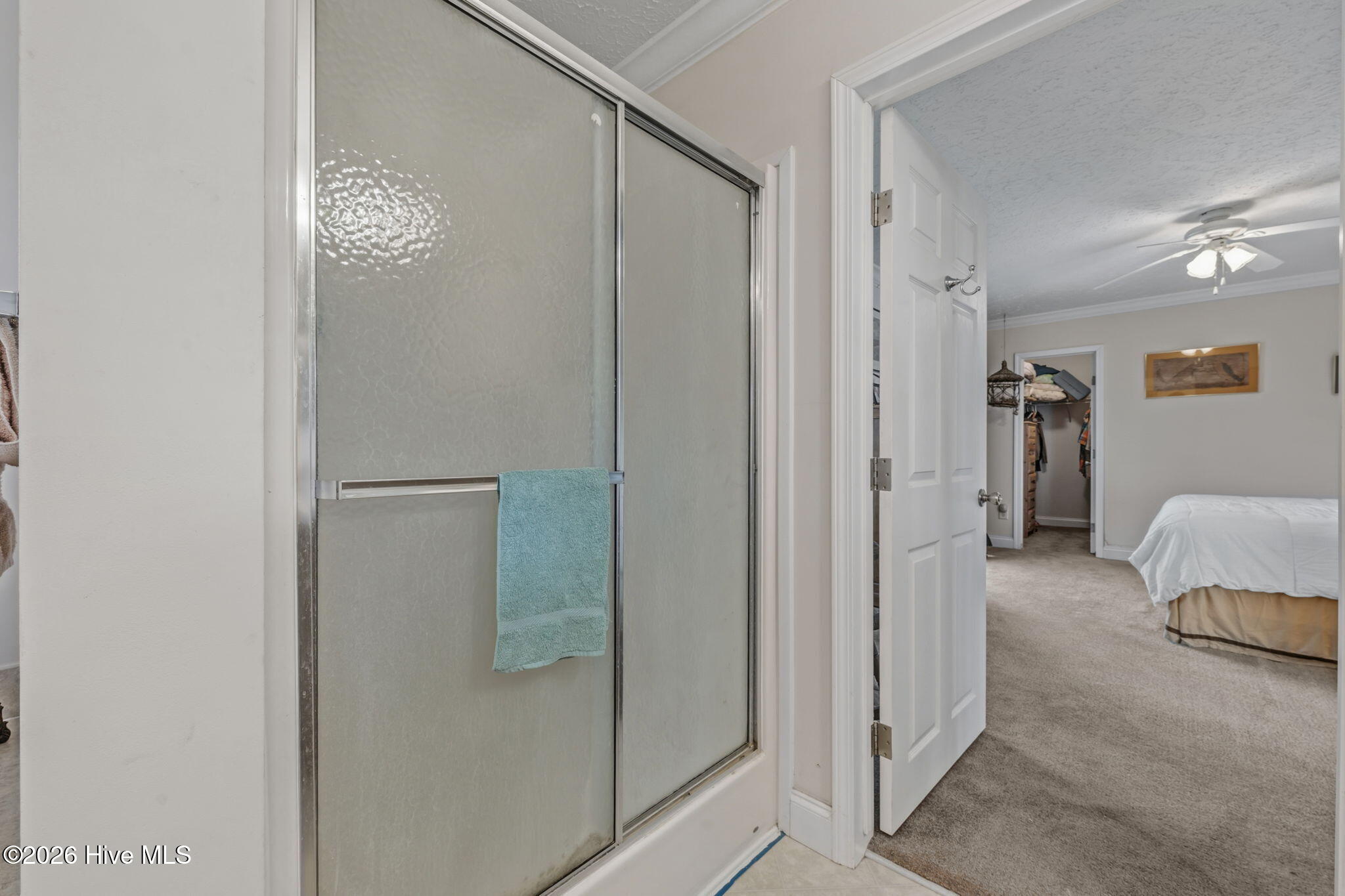 7569 Florence Road Merritt, NC 28556 - Photo 35 of 70 33-web-or-mls-DSC_7690