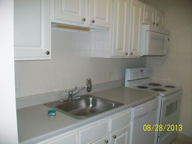 904 Ridge Square, Unit 110 Elk Grove Village, IL 60007 - Photo 5 of 10 a kitchen with white cabinets and a sink